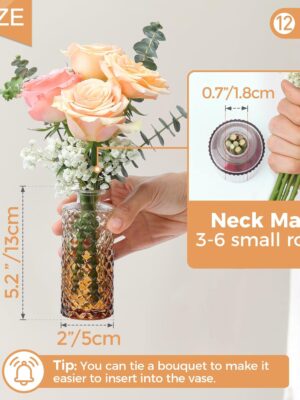 71ELEemo7KL._AC_SL1500_.jpg