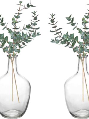 2 Pack Clear Stout Glass Vases, 10 Inch Small Decorative Balloon Jug Vases Single Bud Neck Flower, Handmade Vintage Flower Vase for Tabletop, Centerpiece, Home, Hotel Decoration