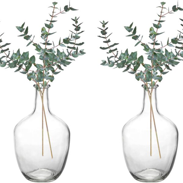 2 Pack Clear Stout Glass Vases, 10 Inch Small Decorative Balloon Jug Vases Single Bud Neck Flower, Handmade Vintage Flower Vase for Tabletop, Centerpiece, Home, Hotel Decoration